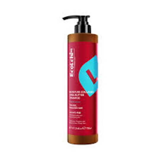 Picture of ECOLCHI COLLAGEN MOISTURE  SHAMPOO